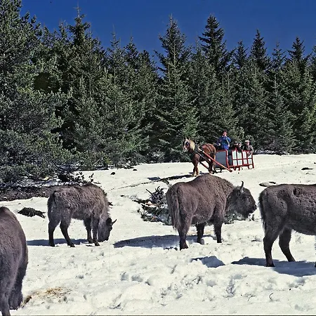 Logis Restaurant Des Gorges Du Tarn Florac