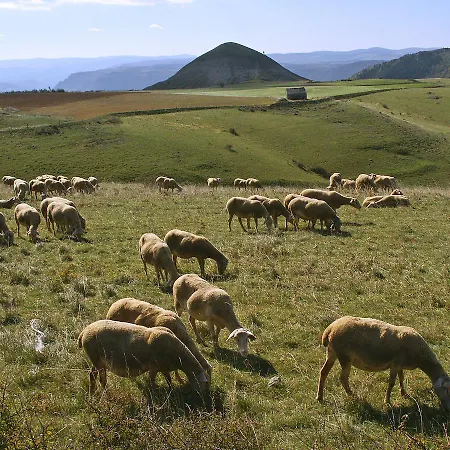 Logis Restaurant Des Gorges Du Tarn Hotel