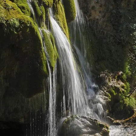 Logis Restaurant Des Gorges Du Tarn Florac
