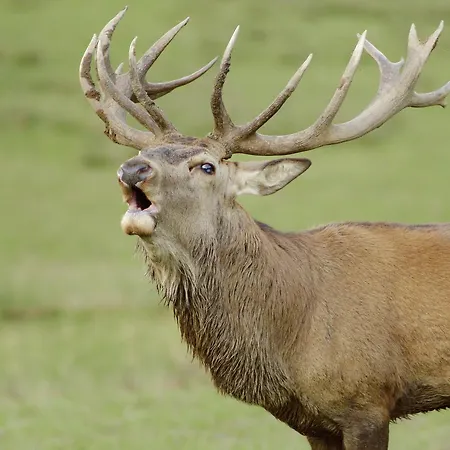 Szálloda Logis Restaurant Des Gorges Du Tarn