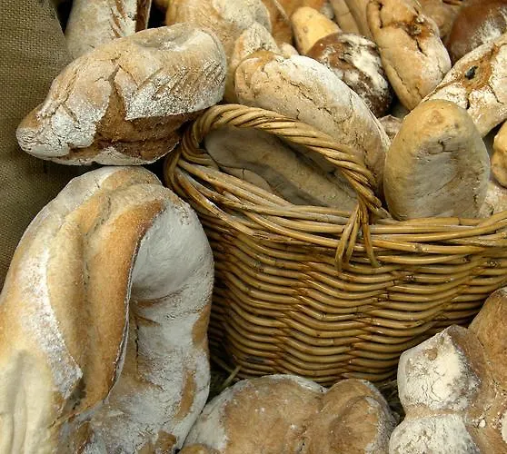 Logis Restaurant Des Gorges Du Tarn فندق