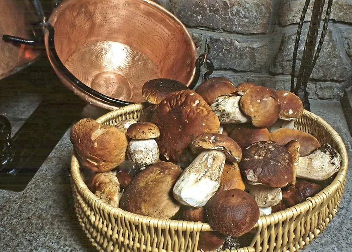 Logis Restaurant Des Gorges Du Tarn فندق